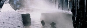 Terme Estero