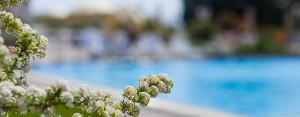 Terme Sud Italia