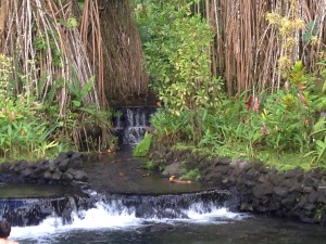 Thermal Resort Tabacon