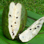 Guanabana: frutto dalle mille proprietà