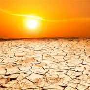 Come combattere il caldo con l’alimentazione