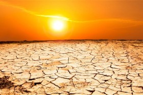 Come combattere il caldo con l’alimentazione